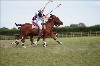 UKPA  NC Sat_1599